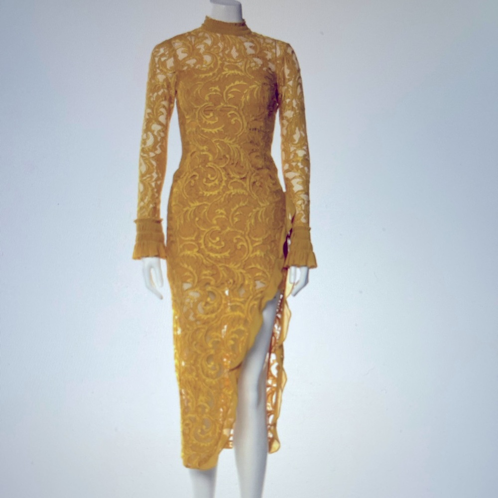 Alexis lace pattern long cocktail dress